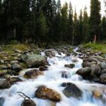 5 Days and 4 Nights Private Tour of Kashmir - Why This Tour Offers Great Value