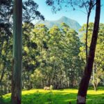 5 Days Budget Kerala Tour Packages by Sanguine Holidays - Why This Tour Offers Good Value