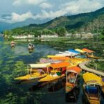 5-Days Kashmir tour includes Accommodation and Private Transportation - Why This Tour Represents Excellent Value