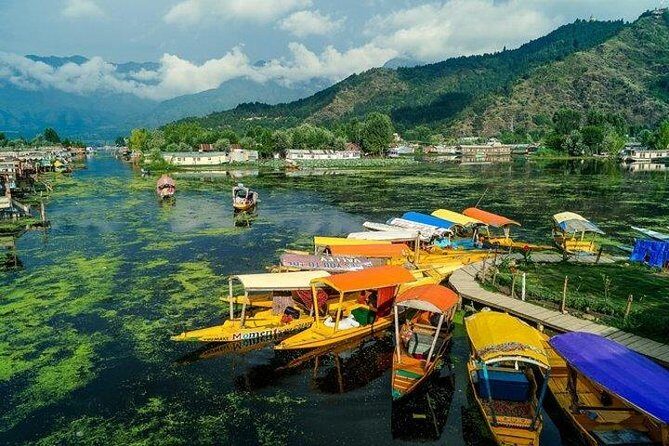 5-Days Kashmir tour includes Accommodation and Private Transportation - Why This Tour Represents Excellent Value