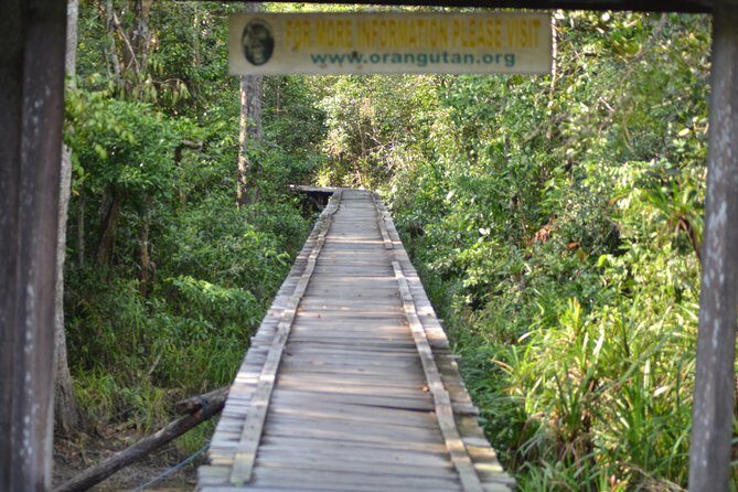 5 Days Truly Orangutan Wildlife Jungle Trail - A Practical Look at the 5-Day Orangutan Jungle Trail