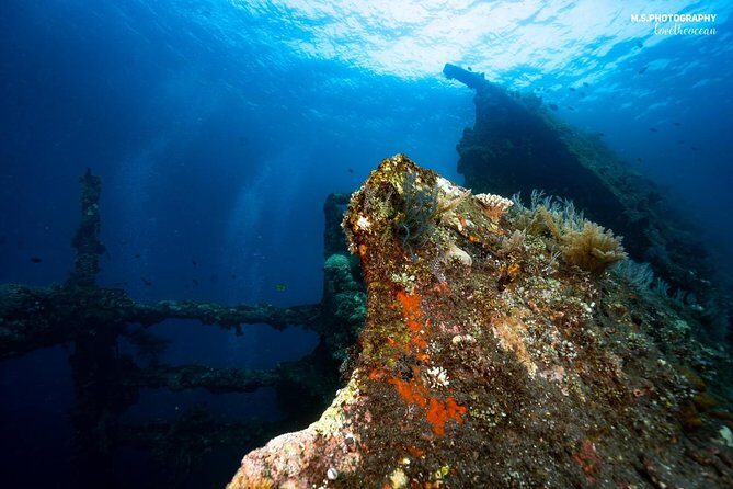 5 Fun Dives in Tulamben (for certified divers) - Discover famous diving sites - Who Should Consider This Tour?