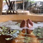 5-Hour Family Retreat with Hot Springs and Mud Baths in Nha Trang - The Sum Up: Who Is This Tour Best For?
