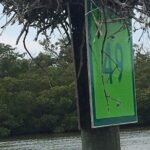 5 Hour Keewaydin Island Beach Tour - Practical Tips for the Perfect Day