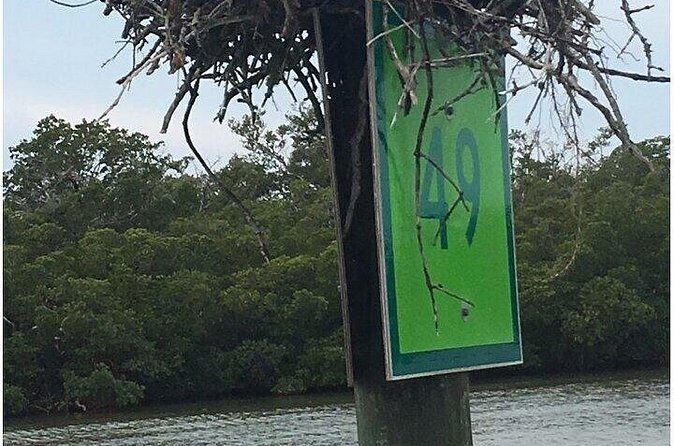 5 Hour Keewaydin Island Beach Tour - Practical Tips for the Perfect Day