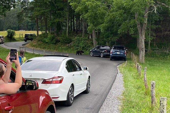 5 Hour Tour of the Mountain Heritage of Cades Cove - Final Thoughts on Value and Experience