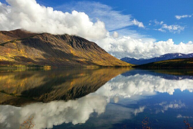 5 Hour Tour to the Yukon Border with Suspension Bridge - Authentic Experiences and Honest Critiques