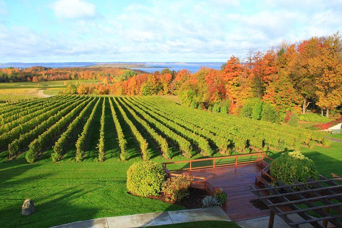 5-Hour Traverse City Wine Tour: 4 Wineries on Old Mission Peninsula - What Sets This Tour Apart?