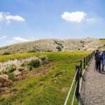 5-Hour Vegetarian Private Tour - Visit Yangmingshan and Taste Veggie Cuisine - The Vegetarian Cuisine: Limited but Authentic