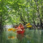 5 Hours Sharing Basis Kilim Mangrove Kayaking Tour - Discovering Langkawi’s Mangrove Forests and Coastal Life
