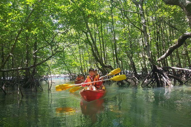 5 Hours Sharing Basis Kilim Mangrove Kayaking Tour - Discovering Langkawi’s Mangrove Forests and Coastal Life