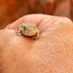 5 Hr Peek-a-Boo & Great Chamber ATV Tour- You Drive! - Exploring Peek-a-Boo Slot Canyon