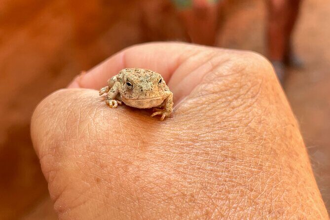 5 Hr Peek-a-Boo & Great Chamber ATV Tour- You Drive! - Exploring Peek-a-Boo Slot Canyon