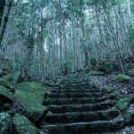 6 Day Private Ise and Kumano Tour - Final Thoughts: Who Should Book This Tour?