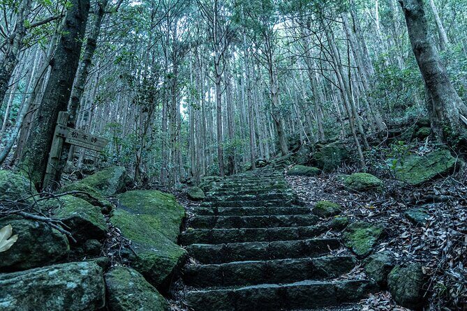 6 Day Private Ise and Kumano Tour - Final Thoughts: Who Should Book This Tour?