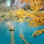 6 Day Tour Including Chengdu, Jiuzhaigou And Dagu Glacier - Exploring Jiuzhaigou: Lakes, Forests, and Waterfalls