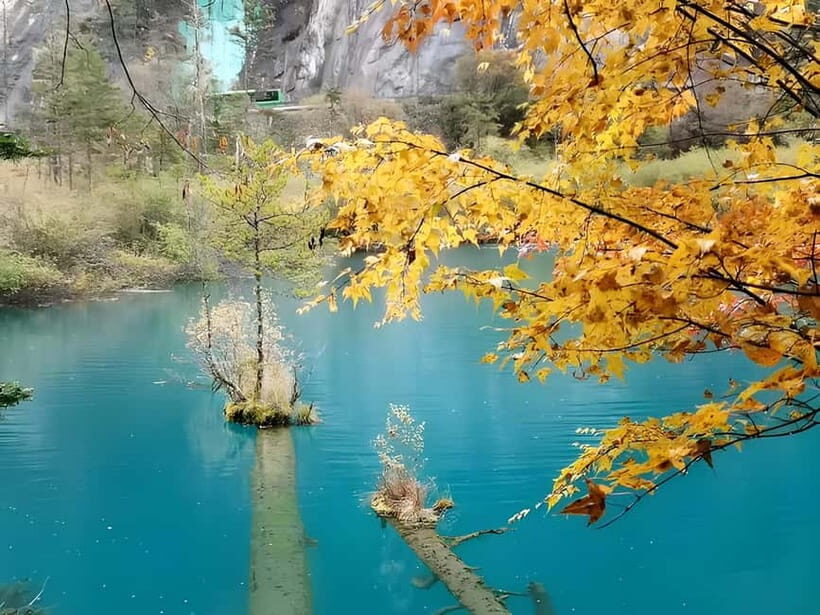 6 Day Tour Including Chengdu, Jiuzhaigou And Dagu Glacier - Exploring Jiuzhaigou: Lakes, Forests, and Waterfalls