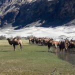 6 days Private Guided Tour of Ladakh from Delhi by flight & car - Who Will Love This Tour?