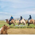 6 Days Private Tour in Gobi Desert - What’s Included and What to Consider