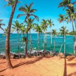 6 Days Private Vehicle With Driver Explore Sri Lanka By Your Own Plans - The Sum Up