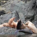 6 hour Covered Boat Whale Watching Tour - What People Say