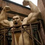 6-Hour Private Beijing Tour: Flower and Fish Market, Panjiayuan Antique Market and 798 Art Zone - Who Should Consider This Tour?