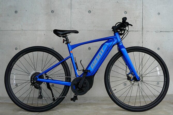 6 Hour Private E bike Tour on Omishima - Authentic Experiences That Make This Tour Stand Out