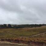 6-Hour Private Limousine Wine Country Tour of Napa or Sonoma - Authentic Experiences and Genuine Value