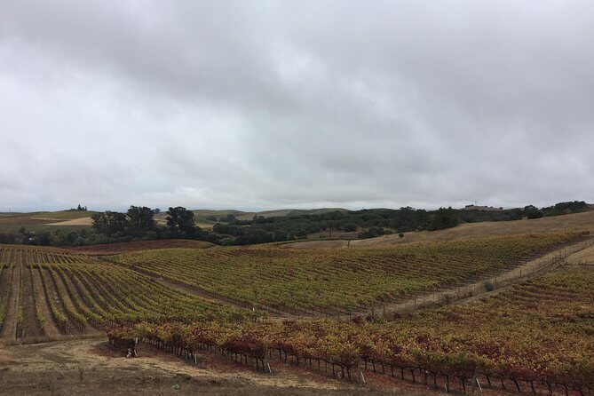 6-Hour Private Limousine Wine Country Tour of Napa or Sonoma - Authentic Experiences and Genuine Value