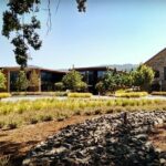 6-Hour Private Napa Limousine Wine Tour (Style & Wine) - Who Will Love This Tour?