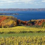 6 Hour Tour in Lake Leelanau - Exploring the Full Itinerary: What You Can Expect