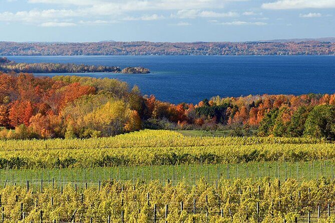6 Hour Tour in Lake Leelanau - Exploring the Full Itinerary: What You Can Expect