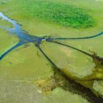 60 min. Everglades Airboat ride & pick-up ,small group +pro guide - Transportation & Group Size