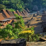 6Day Private Culture Tour in Flores - Why This Tour Offers Great Value