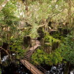 6Days 5Nighs Siem Reap Highlight(PREP5P) - What Makes This Tour Stand Out?