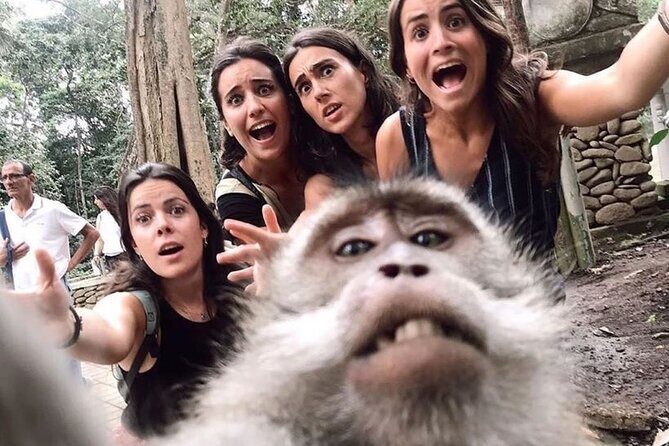 6h Private Tour in Ubud: Rice Terrace Swing, Temple, Waterfall - An In-Depth Look at the Ubud Tour Experience