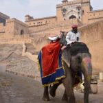 7-Day Golden Triangle Jodhpur Udaipur Tour from Delhi - Why This Tour Delivers Great Value