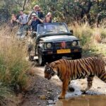 7-Day Golden Triangle Tour with Ranthambore Tiger Safari - From Delhi to Agra: The Taj and Mughal Marvels