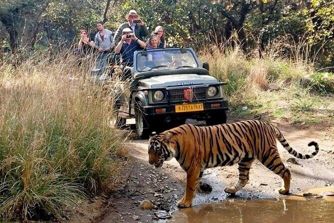 7-Day Golden Triangle Tour with Ranthambore Tiger Safari - From Delhi to Agra: The Taj and Mughal Marvels
