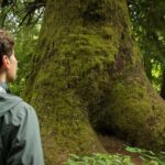 7 Day Guided Small Group Tour On Vancouver Islands West Coast - Who Is This Tour Best For?