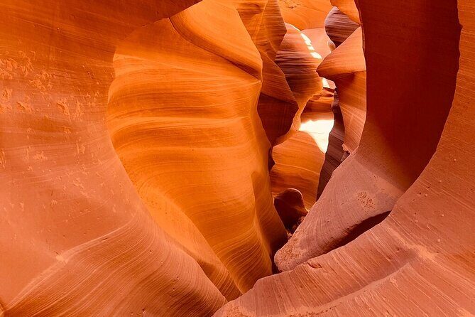 7-Day Lower Antelope, Las Vegas, Yellowstone, Salt Lake City Tour - What the Reviews Say: Authentic Perspectives