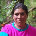 7 Day-Monarch Butterfly Ecofriendly Tour in Mexico - FAQs About the Monarch Butterfly Eco-Friendly Tour