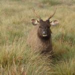 7-Day Off The Beaten Nature and Wildlife tour - A Detailed Look at the 7-Day Itinerary