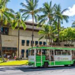 7 Day Pass LeaLea Trolley and Waikiki Trolley Pink Line - Who Should Consider This Tour?