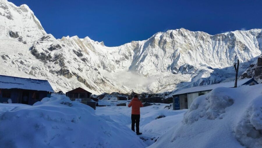 7 Days Annapurna Base Camp Trek: Customized Trip Itinerary - What’s Included and What’s Not