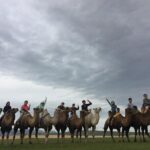7 days Central Mongolia and Great Gobi - Authentic Experiences and Authentic Comfort