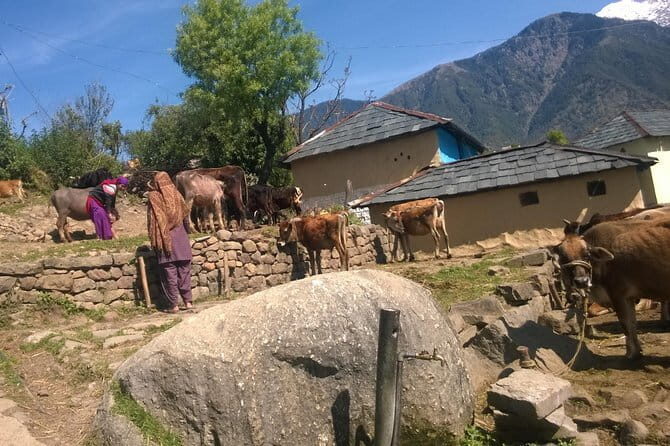 7 Days Dharamsala - Dalai Lama home Trek - What Travelers Say