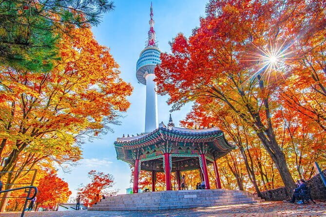 7 days Flexible Tour for Major Cities(Seoul,Busan,Gyeongju) - Who Should Consider This Tour?