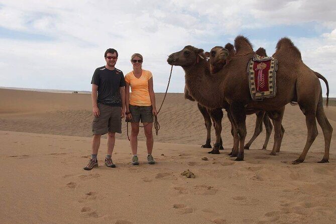 7 days Great Gobi Tour - Authentic Experiences and Practical Details