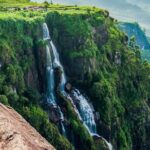 7 Days Tour in Sri Lanka with 4 Star HB Accommodations - Who Should Consider This Tour?